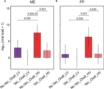 Influence of PRRSV-1 vaccination and infection on mononuclear immune cells at the maternal-fetal interface